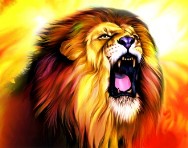 Enerlion EnerLion